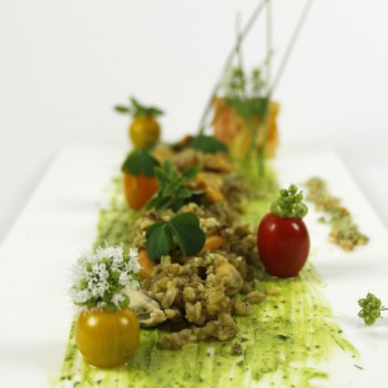 Salade de Moules de bouchot et de blé vert Crème d’avocat très verte – wasabi – quelques tomates